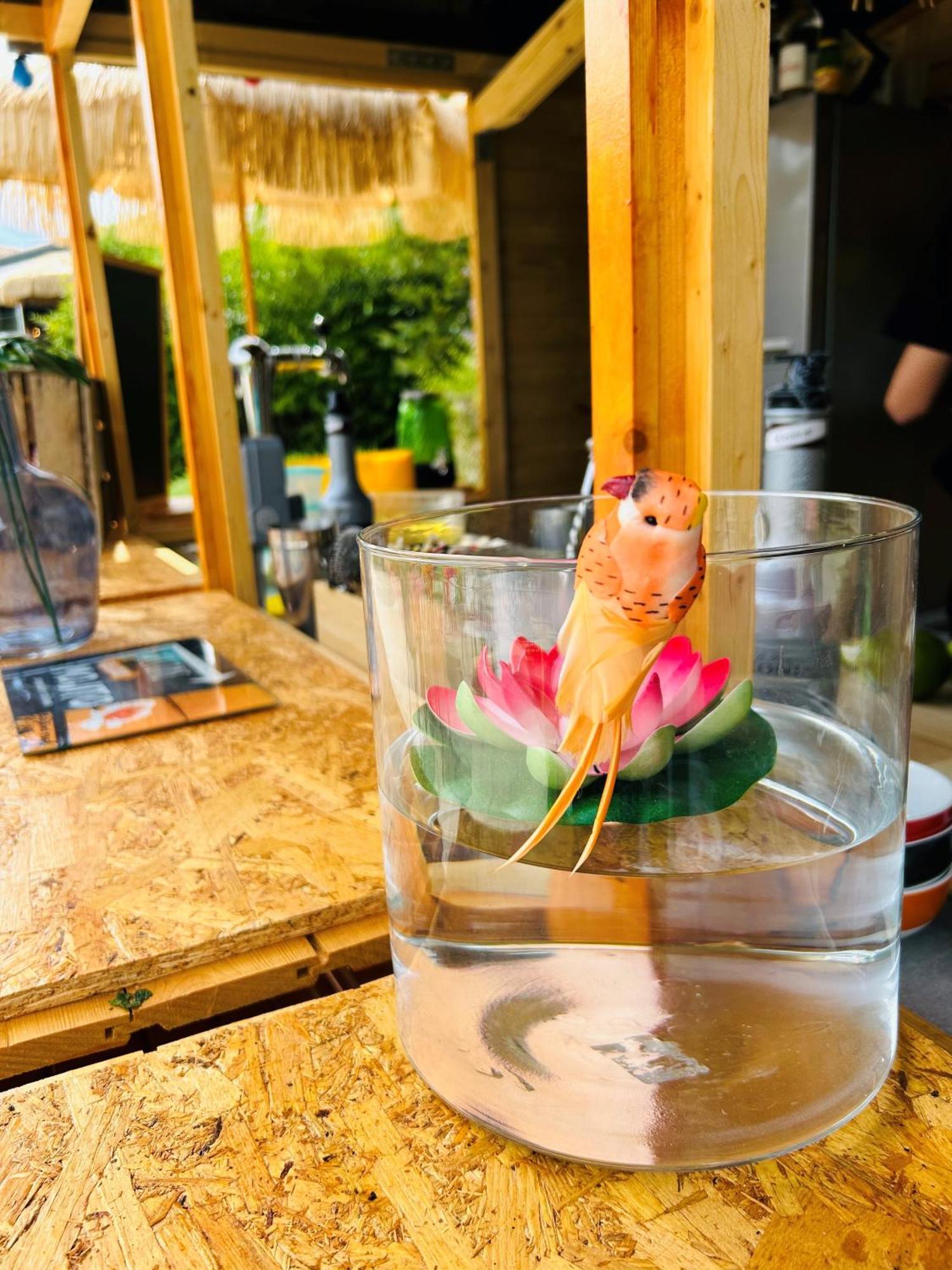 Côté Océan Boutique Resort Angoulins-sur-Mer Esterno foto